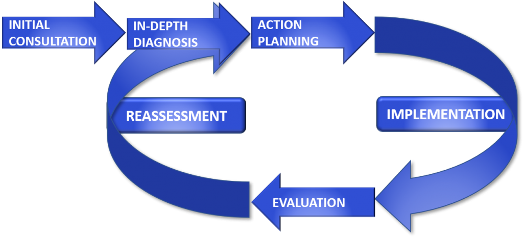 Our Process